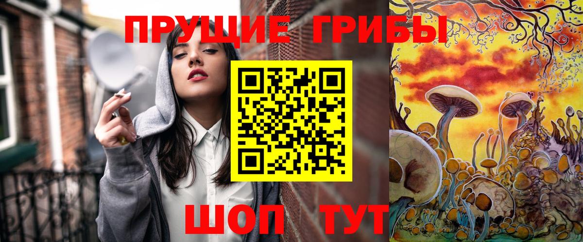 Старая Купавна  Галлюциногенные грибы прущие грибы  Вход с VPN 