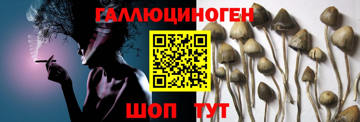 Псилоцибиновые грибы мухоморы Старая Купавна